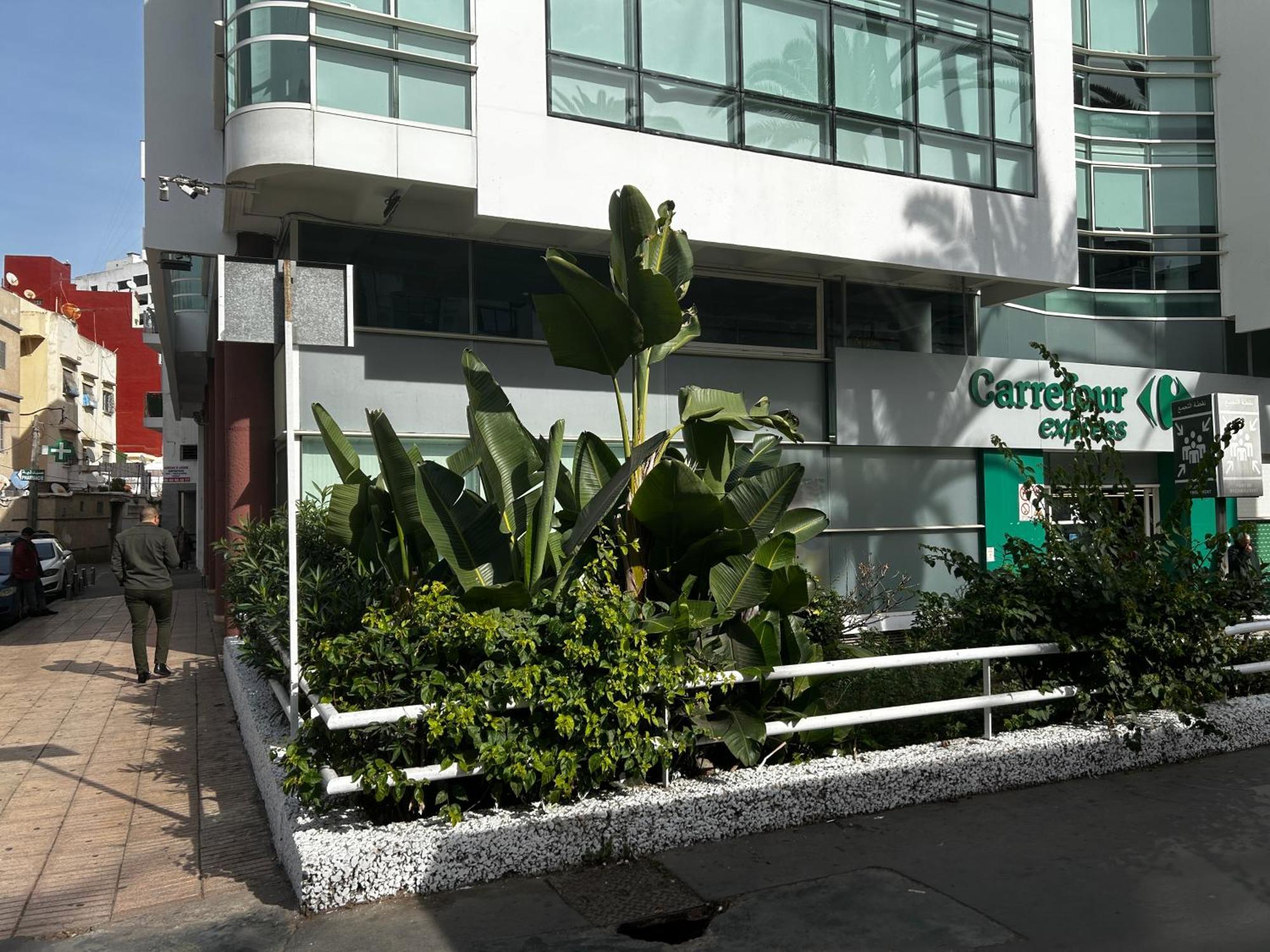 Apartamento Chez Vous Au Coeur De Casa Blanca